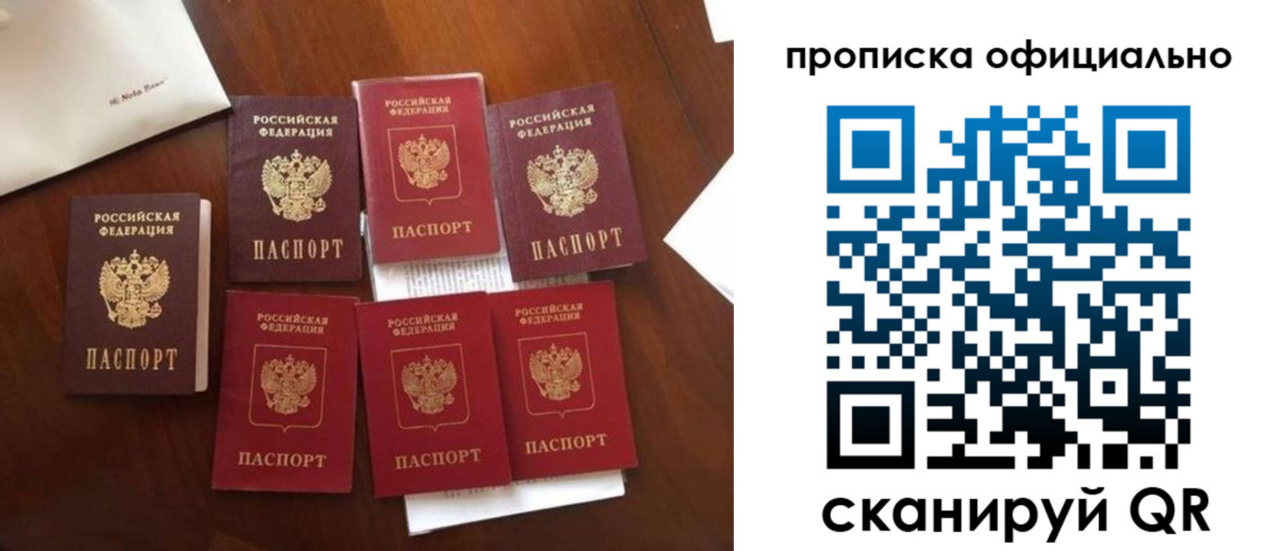 прописка законно в Алексеевке